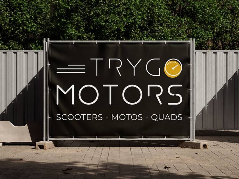 trygo motors bache